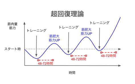 超回復 部位|【早める方法アリ】筋肉の超回復にかかる。